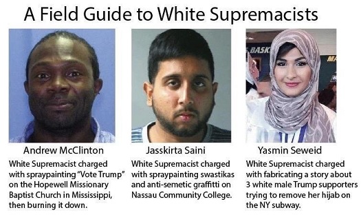 Field Guide to White Supremacists.jpg